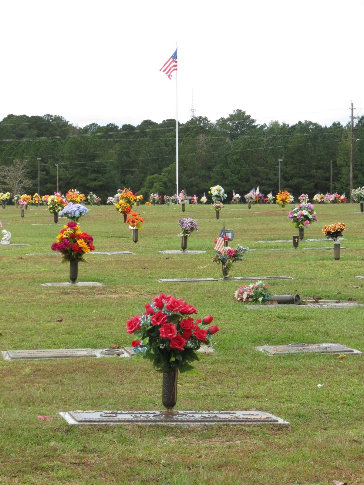 20240102-225300-img_3546