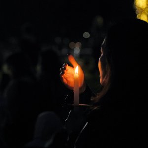 bbc-creative-pd9bm6ghtcg-unsplash-2-sq