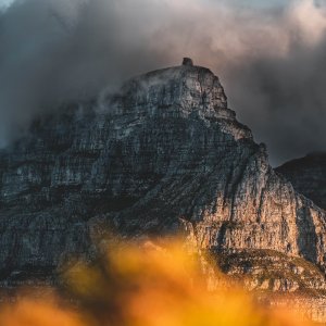 brandon-conradie-ir6euxfu5lk-unsplash-2-sq