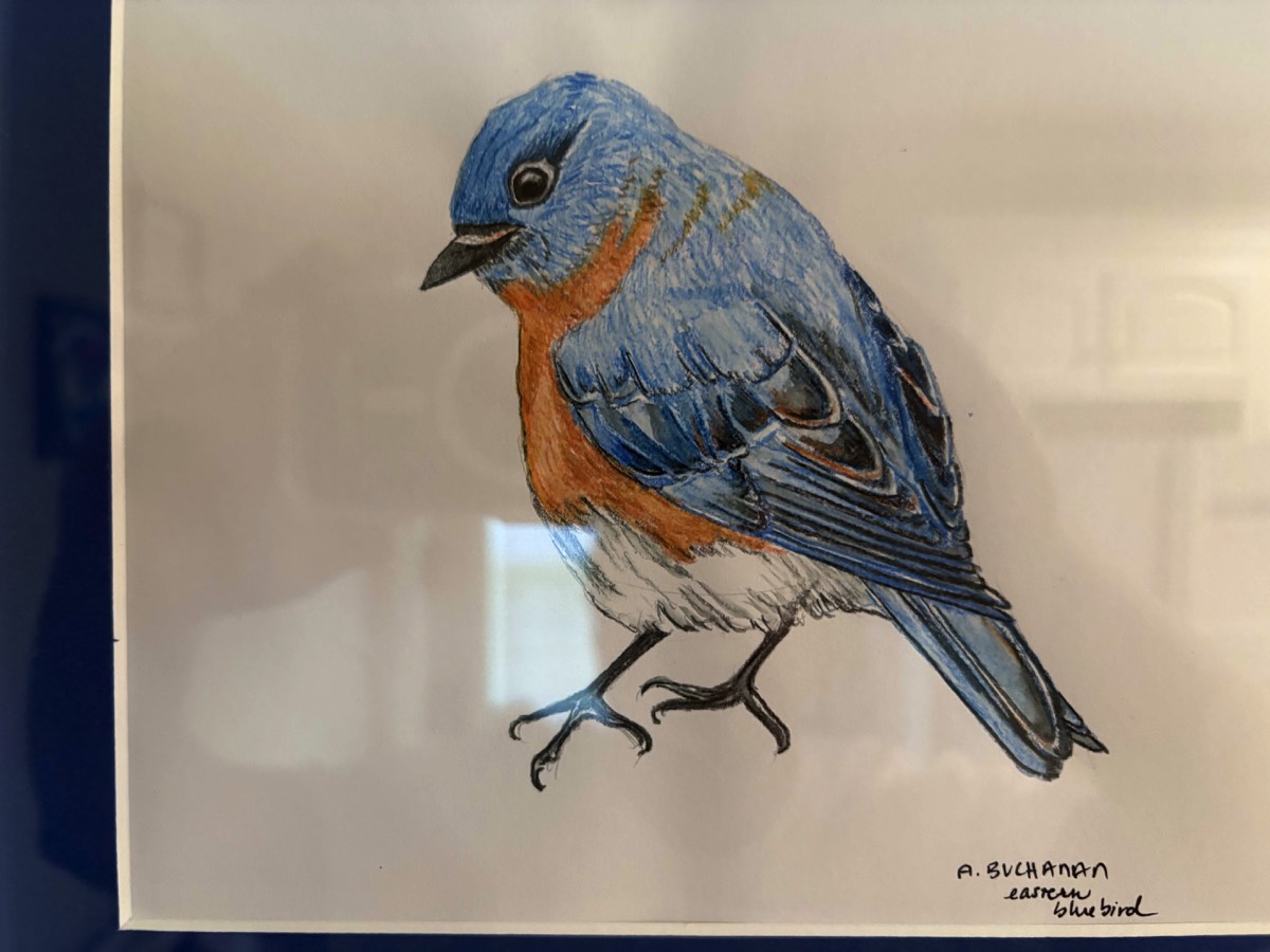 stacks-image-b3fce46-1200x900